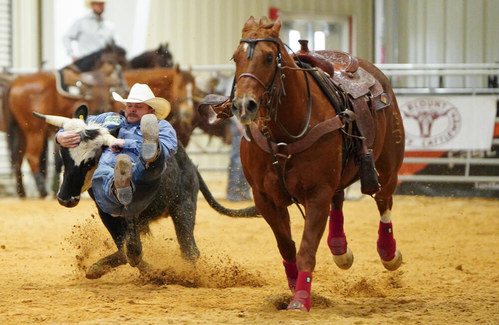 A cowboy holding on to a steer's head while a horse runs along side.