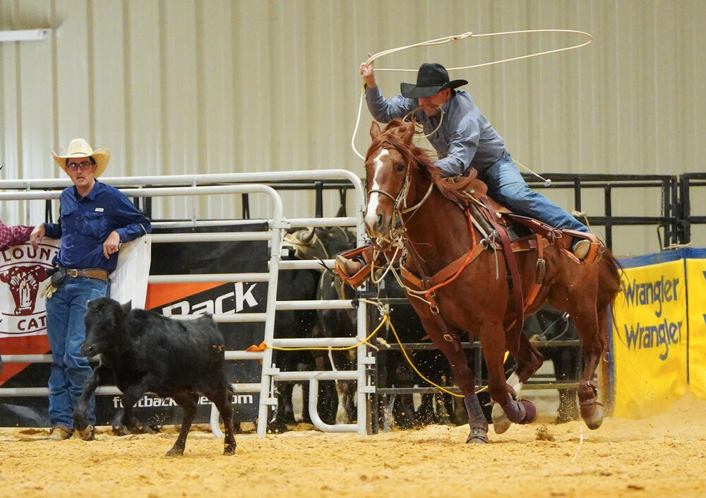 A cowboy on horseback with a rope in his mouth attempting to lasso a calf running away.