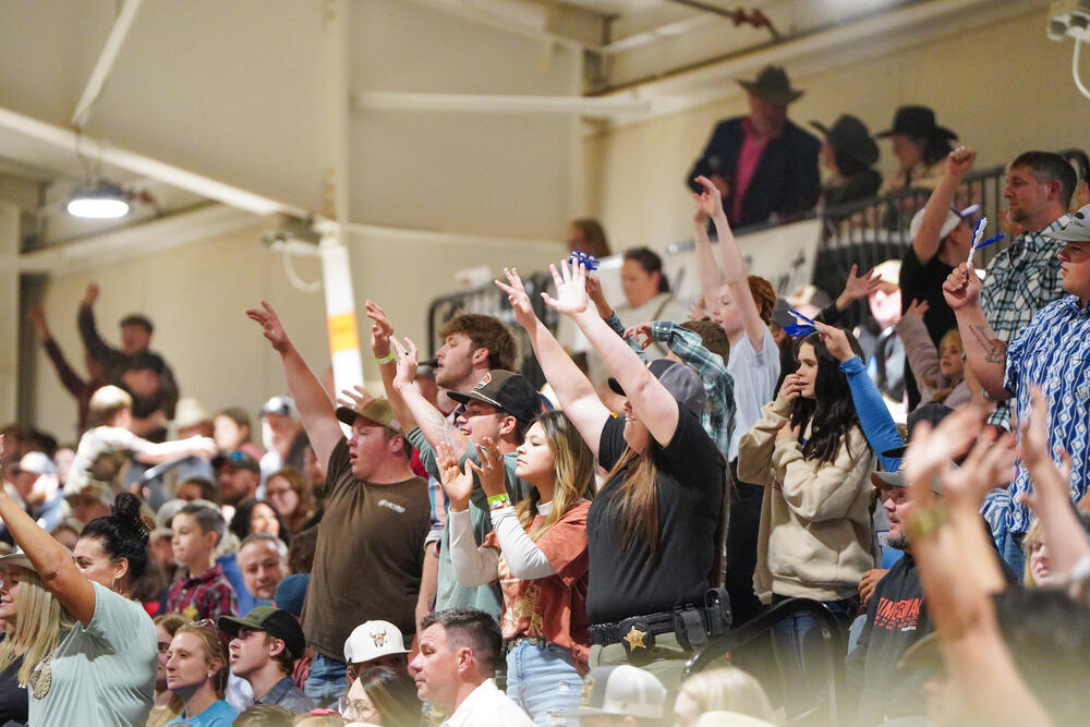 Fans in the bleachers holding their arms in the air attempthing to catch items being thrown into the crowd. 