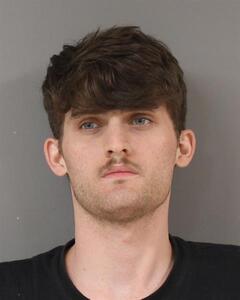 Mugshot of MANN, GRANT