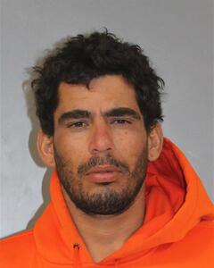 Mugshot of CARBONEL, YOSBEL