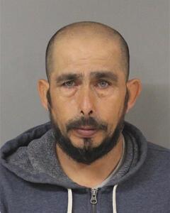 Mugshot of MEJIAROSALES, JOSE  