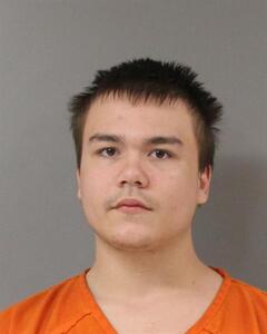 Mugshot of JOHNSON, DAKOTA  