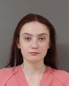 Mugshot of PALMER, KAYLEE  