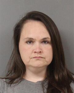 Mugshot of ELLISON, ROBIN  