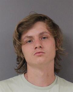 Mugshot of GANN, STEVEN
