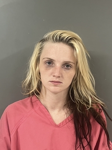 Mugshot of WESTCOTT, CHEYANNE