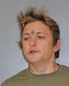 Mugshot of ALEXANDER, AUSTIN  