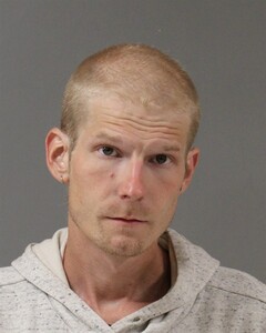 Mugshot of PALMER, NATHANIEL