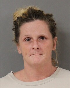 Mugshot of WHYDE, CHERYL  
