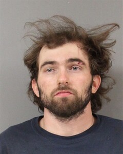 Mugshot of SANDERS, ROBERT