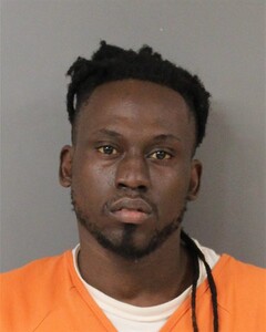 Mugshot of ANDERSON, NATHANIEL