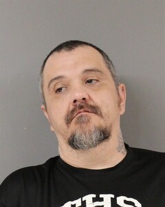 Mugshot of CROW, RONALD