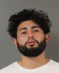 Mugshot of RODRIGUEZ, DYLAN