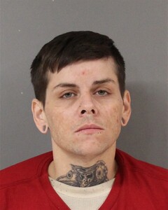 Mugshot of FULLER, AMANDA