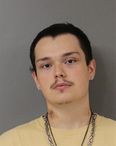 Mugshot of PENA, JESSIE