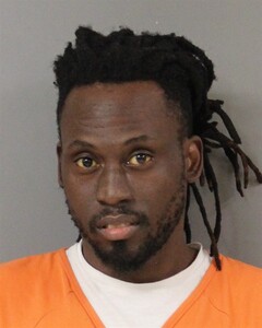 Mugshot of ANDERSON, NATHANIEL