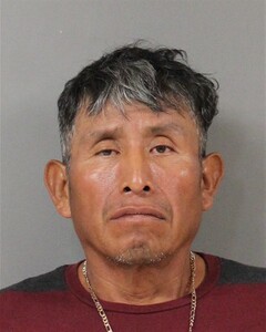 Mugshot of MENDOZA, JENARO