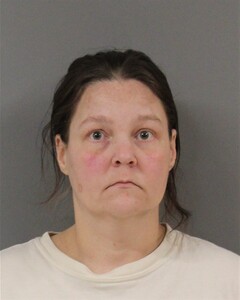 Mugshot of TOLLISON, KERI  